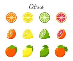 et of fruit and citrus icons. Orange, grapefruit, lime and lemon. Whole fruit, half cut and slices. Collection in a flat design. Color vector illustration isolated on a white background.