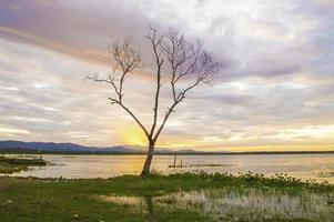 View of tree branch with sunrise in the morning photo