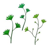 planta natural flor de garabato abstracto. bosquejo de tallo verde con hojas vector
