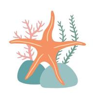 Starfish on seabed with rocks and algae. vector