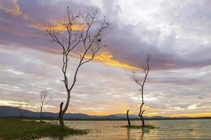 View of tree branch with sunrise in the morning photo