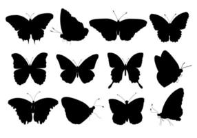 Set of silhouettes of butterflies. Exotic tropical insects black icons. vector