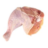 chicken drumstick fresh isolated on white background photo