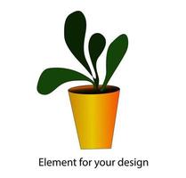 Simple flower potted on a white background. vector