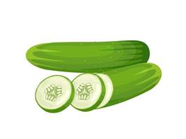 Vector illustration, fresh green cucumber with slices, isolated on white background.