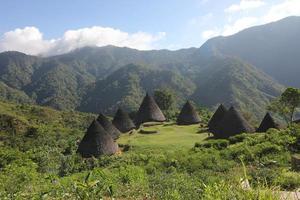 pueblo de wae rebo, wae rebo es un antiguo pueblo de manggaraian, situado en el agradable y aislado paisaje montañoso. siente aire fresco y ve el hermoso momento en flores, indonesia foto