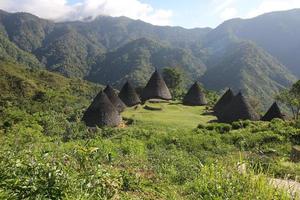 pueblo de wae rebo, wae rebo es un antiguo pueblo de manggaraian, situado en el agradable y aislado paisaje montañoso. siente aire fresco y ve el hermoso momento en flores, indonesia foto