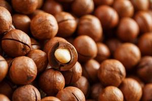 Texture of organic macadamia nut fresh natural fruit shelled one nut in full frame close-up view photo