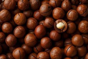 Texture of organic macadamia nut fresh natural fruit shelled one nut in full frame close-up view photo