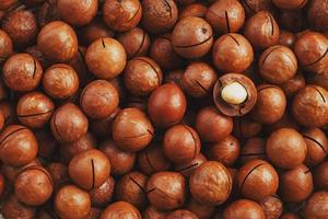 Texture of organic macadamia nut fresh natural fruit shelled one nut - vintage filter photo