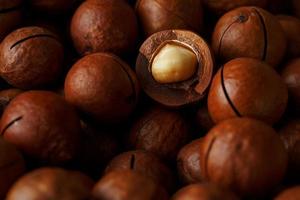 Texture of organic macadamia nut fresh natural fruit shelled one nut in full frame close-up view photo