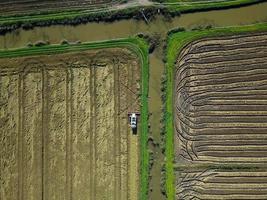 Aerial drone view of harvesting of the rice by machine on a vast field with a river next to it. Industrial agriculture. Tagus Estuary Natural Reserve in Lisbon, Portugal. Native Rice of Portugal. photo