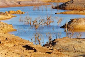 Low levels of water reservoir. Dry climate. Shortage of water. Dead trees. Climate change and global warming. Ecological disaster. Water and river pollution. Arid Climate. There is no planet B. photo
