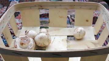 A mushroom basket with few in it video