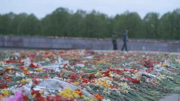 dia da vitória, um feriado sem trabalho, que comemora a capitulação da alemanha nazista à união soviética durante a segunda guerra mundial. flores colocadas em um monumento, na letônia. video