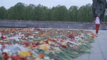 le jour de la victoire, un jour férié chômé, qui commémore la capitulation de l'allemagne nazie devant l'union soviétique pendant la seconde guerre mondiale. fleurs placées devant un monument, en lettonie. video