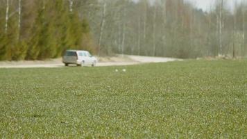 grüne Ernte und Auto auf der Straße video