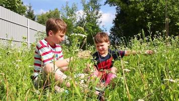 enfants jouant dans l'herbe video