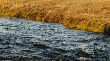 Video of a gently rippling river. HD slow motion video