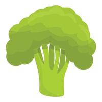 Broccoli icon, cartoon style vector