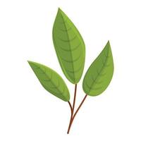 Leaves of elderberry icon, cartoon style vector