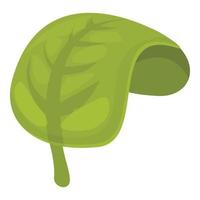 Green leaf spice icon cartoon vector. Herb oregano vector