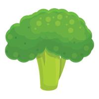 Raw broccoli icon, cartoon style vector