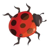 Nature ladybird icon cartoon vector. Ladybug beetle vector