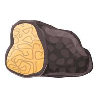 Autumn truffle icon cartoon vector. Vegetable truffle vector