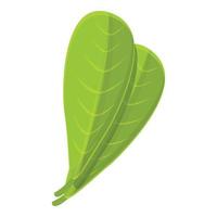 Shea tree leaf icon, cartoon style vector