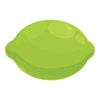Whole green lime icon cartoon vector. Shot glass vector