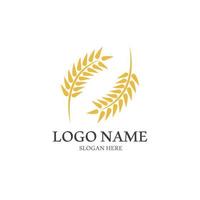 Wheat logo vector icon illustration