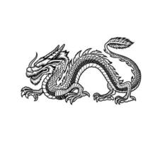 chinses dragons set free Vector