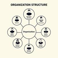 Organization structure vector illustration
