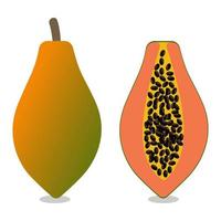 Papaya fruit collection set. Tropical fruit exotic vegan food on white background. Vector illustration. EPS 10.