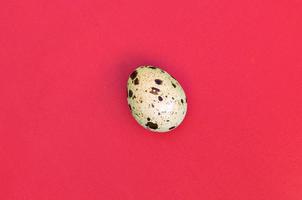 One quail egg on a light red surface, top view, empty place for text photo