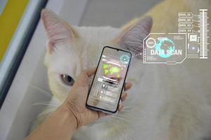 The concept of using artificial intelligence to find lost or lost pets. photo