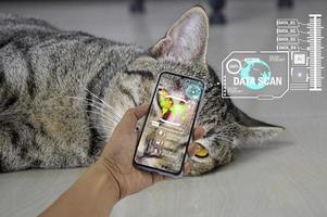 The concept of using artificial intelligence to find lost or lost pets. photo