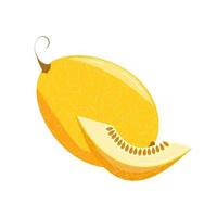 Big yellow melon and a piece of it.  Vector illustration of an isolated summer fruit.