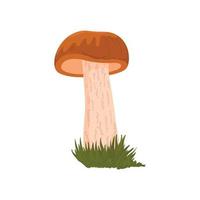 Vector fungus illustration. Edible organic product. Natural vegetarian ingredient.