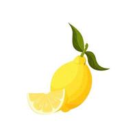 Vector illustration of an isolated whole lemon and its half. Yellow juicy fruit with shadows and highlights.