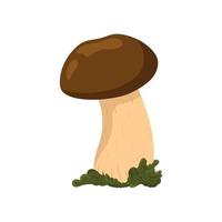 Autumn flavor, a simple mushroom illustration. Vector illustration.large white mushroom.