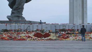 día de la victoria, un día festivo no laboral, que conmemora la capitulación de la alemania nazi ante la unión soviética durante la segunda guerra mundial. flores colocadas en un monumento, en letonia. video