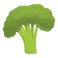 Farm broccoli icon, cartoon style vector