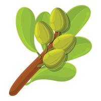 Shea tree branch icon, cartoon style