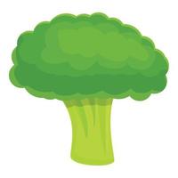 Whole broccoli icon, cartoon style vector