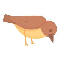 Sparrow eating icon cartoon vector. Tree bird