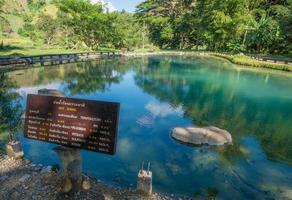 aguas termales huai mak liam en la provincia de chiang rai de tailandia. foto