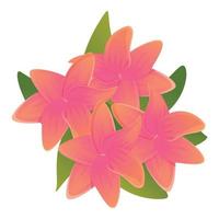 Branch plumeria icon, cartoon style vector