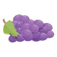 Red grapes icon cartoon vector. Taste summer